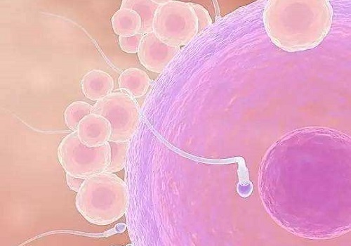 試管嬰兒醫院價格多少