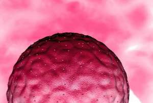 做第三代試管嬰兒要多少錢才夠