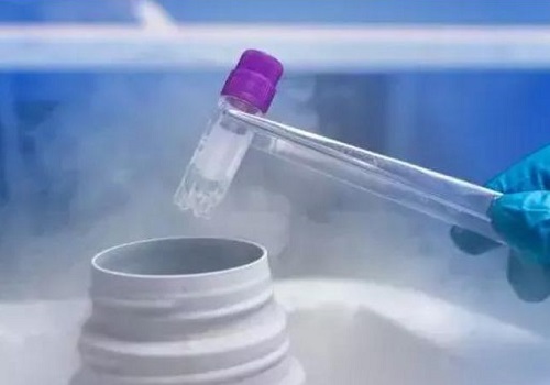 試管嬰兒費用要多少錢