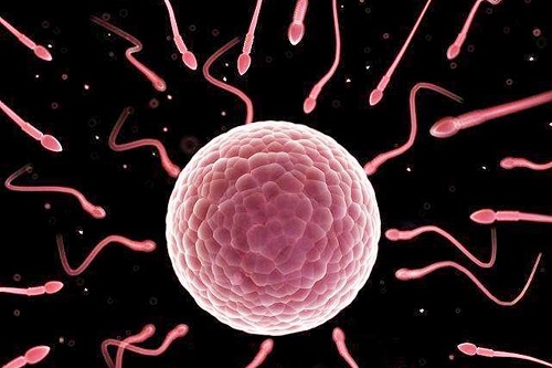 國內做第三代試管費用要多少錢