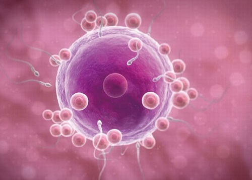 適合做試管嬰兒的人群有哪些