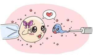 試管嬰兒的收費項目都包括哪些