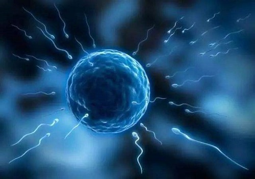 北京試管嬰兒費用多少錢