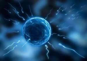 北京試管嬰兒費用多少錢